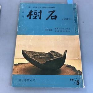 B04-063 樹石 盆栽・水石の趣味誌 66'/5 樹石社