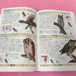 B08-053 地球の自然ハンドブック 完璧版 鳥の写真図鑑BIRDS 2003年8月1日第4刷発行 オールカラー世界の鳥800の画像5