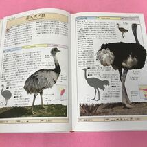 B08-053 地球の自然ハンドブック 完璧版 鳥の写真図鑑BIRDS 2003年8月1日第4刷発行 オールカラー世界の鳥800_画像2