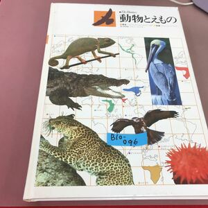 B10-096 原色学習ワイド図鑑続巻 動物とえもの 学研 