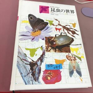 B10-097 原色学習ワイド図鑑続巻 昆虫の世界 学研 