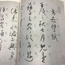 B08-118 祝充明 文徴明 董其昌 豪華普乃版 書道藝術 第八巻 書き込み多数有り有り ケース破れ有り_画像6