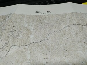 梅ヶ島　静岡県　古地図　 地形図　地図　資料　46×57cm　　昭和45年測量　　平成9年印刷　発行　　B2302