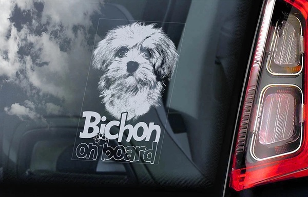 ◆BICHON ビション 系=ビションフリーゼ マルチーズ ハバニーズ ボロニーズ コトン 16 x 10cm 外張り@カーステッカー@外貼り@シール 犬 D1