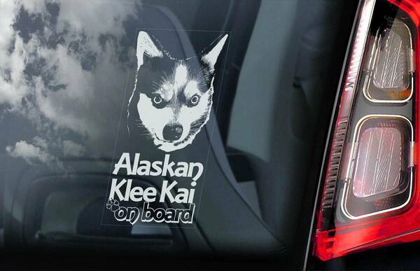 ◆送無◆アラスカン・クリー・カイ ミニハスキー 外張り カーステッカー 220×100mm@外貼り@カー ステッカー ウインドウ シール 犬 D1@3875