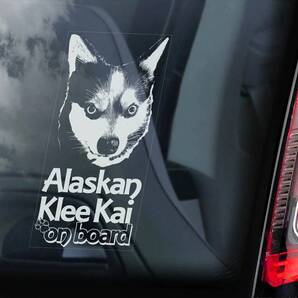 ◆送無◆アラスカン・クリー・カイ ミニハスキー 外張り カーステッカー 220×100mm@外貼り@カー ステッカー ウインドウ シール 犬 D1@3875