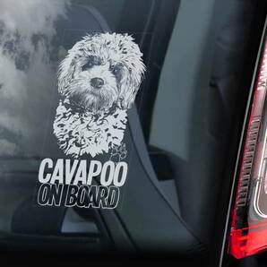 ◆キャバプー CAVAPOO キャバリア x プードル ミックス 200 x 100mm 外張り@カーステッカー@外貼り@カー ステッカー シール DOG 犬 D1の画像1