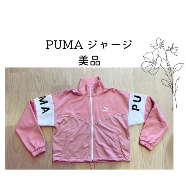 【PUMA ジャージ　レディースL 美品】ランニングウェア　　　フィットネスウェア