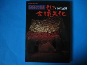 甦る古墳文化　石室の記録　９９の謎