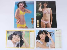 石野真子 付録 ポスター 18枚 水着 野口五郎 山口百恵 サザンオールスターズ 野村義男 ゴダイゴ 西城秀樹 平凡 明星_画像5