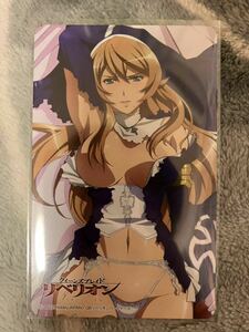 クイーンズブレイド リベリオン グリムワール 抱き枕 カバー 特典 限定 テレカ　シスター シギィ Queens Blade