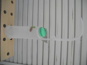 送料無料 ノズル付きで水やりがし易い 楽々ポンプ プランター 高所作業 壁掛け 未使用新品 入札即決！
