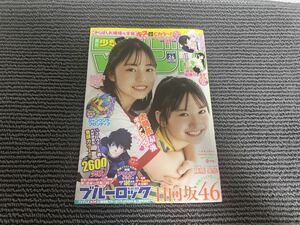 ★ 週刊少年マガジン 2023年 26号 no.26 正源司陽子 藤嶌果歩 巻頭グラビア★