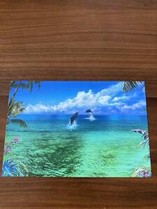 ラッセン イベント会場 配布品 非売品 ポストカード