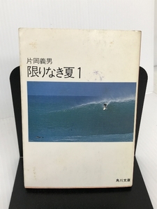 限りなき夏 1 (角川文庫 緑 371-22) KADOKAWA 片岡 義男