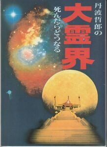 パンフ■1989年【丹波哲郎の大霊界 死んだらどうなる】[ A ランク ] 丹波義隆 エブリン・ブリンクリー 前田吟 森次晃嗣 速水亮 神山繁