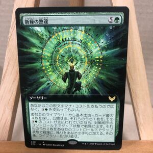 MTG 【JP】■拡張アート■《新緑の熟達/Verdant Mastery》[STX-BF] 緑R 日本語版 ストリクスヘイヴン：魔法学院