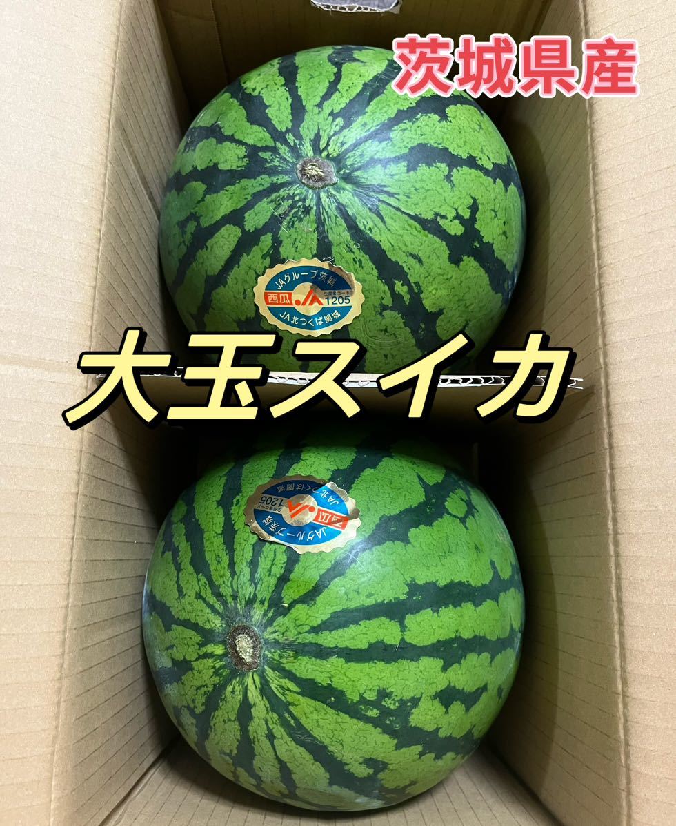 格安人気 糖度14度以上保証 大玉スイカの最高傑作7Lサイズ 12〜13kg