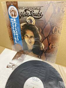PROMO！美盤LP帯付！デヴィッド・カヴァーデイル David Coverdale / Whitesnake Polydor MWF 1027 見本盤 DEEP PURPLE SAMPLE JAPAN OBI NM