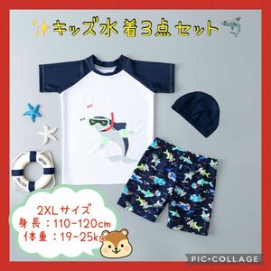 新品水着3点セット キッズ 子供 男の子 ラッシュガード 2XL サメ柄