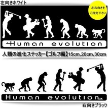 ★千円以上送料0★(30cm)人類の進化【ゴルフ編】プロゴルファー好き、オリジナルステッカー、カーステッカー、車のリアガラスに最適(1)_画像1