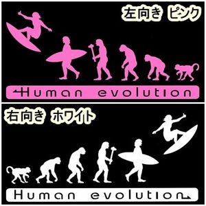 人類の進化 20cm【サーフィン編】サーファーステッカー 1