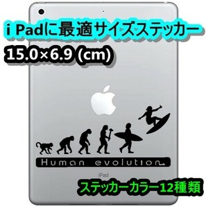 ★千円以上送料0★(15cm) 人類の進化【サーフィン編】サーファーオリジナルステッカー、カー、車用、サーフボード用にも、DC4