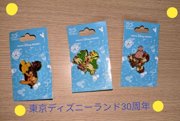 東京ディズニーランド 30周年記念ピンバッチ 3個 です。匿名配送で安心。 ディズニーの缶バッジお一つオマケします