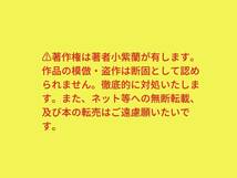 帯付き　１6歳女子高生の日記小説「千秋の日記」　小紫蘭　文学フリマ　純文学　自費出版　リトルプレス　自作小説　②_画像6