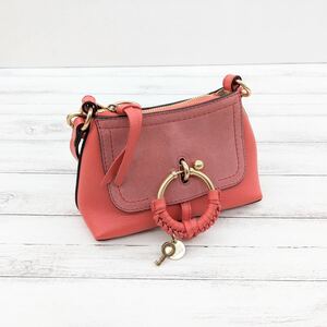 美品 SEE BY CHLOE クロエミニ ショルダーバッグ JOAN 赤 ピンク系 レザー ミニクロスボディバッグ MINI CROSSBODY カメラバッグ