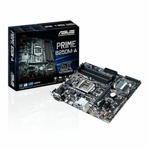 ASUSTeK Intel B250搭載 マザーボード LGA1151対応 PRIME B250M-A microATX