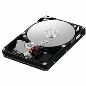 SAMSUNG HM160HC ノートPC内蔵用 2.5インチHDD PATA(ATAPI/IDE)/9.5mm/160GB/BULK P