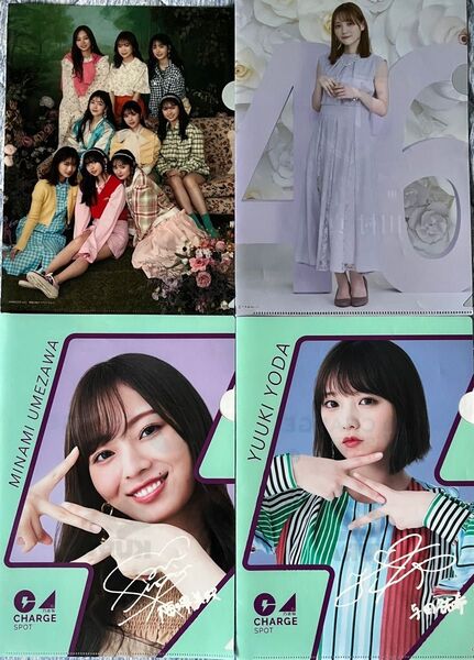 乃木坂46 乃木坂 クリアファイル 4種類