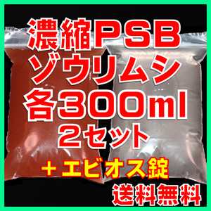 ★送料無料★　室内管理濃縮PSB300ml＋PSBで培養したゾウリム種水300ml（セット出品）＋エビオス３０錠＋各培養説明付き