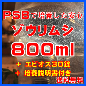 ★送料無料★PSBで培養したゾウリムシ種水800ml＋エビオス30錠＋培養説明書　メダカの針子、稚魚、幼魚、越冬中にも安心。