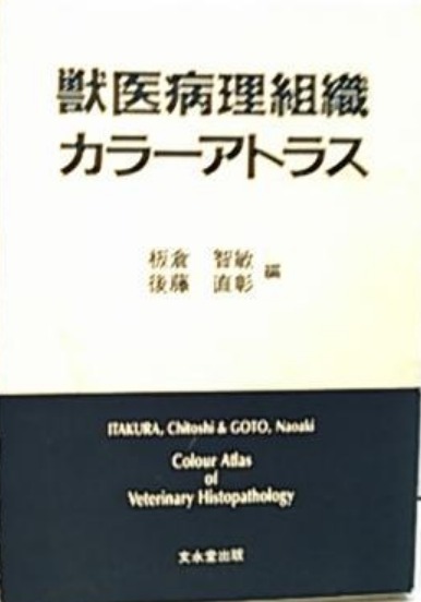 2025年最新】Yahoo!オークション -組織病理アトラスの中古品 2025年最新】Yahoo!オークション -組織病理アトラスの中古品