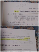 ★大幅値下げ★Ｔｈｅ　ＤＤＳ　薬学が語るＤＤＳの世界 米谷芳枝／編著《送料無料です》_画像10