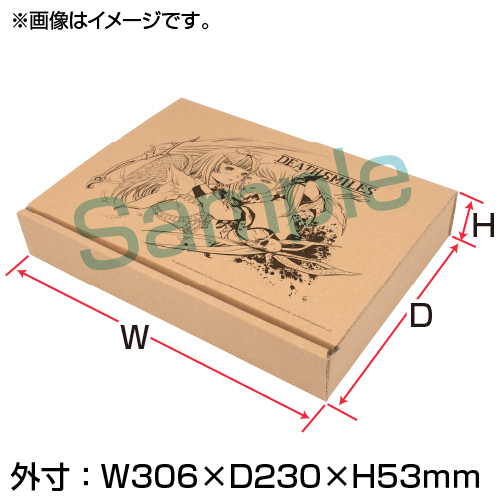 デススマイルズ I・II　BEEP　特典　井上淳哉先生描き下ろしイラスト入り　“基板箱風”ケース