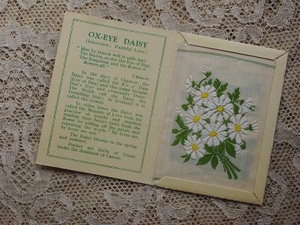  イギリスシルク花刺繍シガレットカード台紙付き Mフランスギク