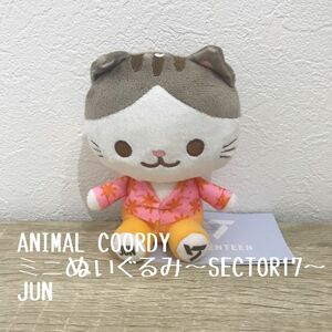 SEVENTEEN ANIMAL COORDYミニぬいぐるみ～SECTOR17～　JUN