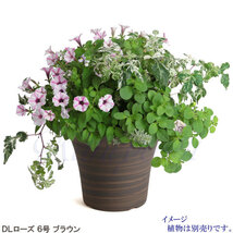 植木鉢 おしゃれ 安い 陶器 サイズ 20cm DLローズ 6号 ブラウン 室内 屋外 茶 色_画像8