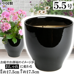 植木鉢 おしゃれ 安い 陶器 サイズ 17cm MGI-18 5.5号 ブラック 室内 屋外 黒 色