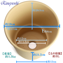 植木鉢 おしゃれ 安い 陶器 サイズ 19cm フラワーロード 6号 白焼 室内 屋外 白 色_画像4