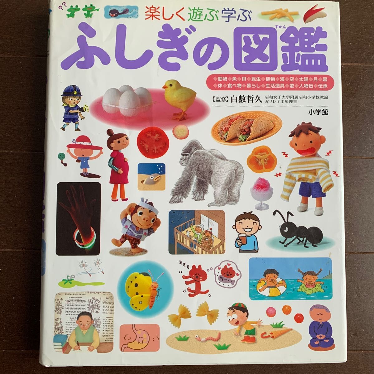 ふしぎの図鑑 楽しく遊ぶ学ぶ 小学館の図鑑 NEO プレ 幼稚園 小学校