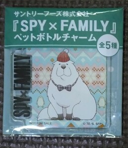 スパイファミリー ペットボトルチャーム ④ 2023年 新品 未開封品 未使用品 サントリー 限定品 SPY×FAMILY