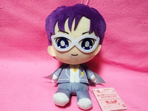  beautiful young lady Sailor Moon .... soft toy King * Ende .mi on * new goods tag equipped 