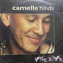 【激レア】Camelle Hinds / Vibe Alive LP Expansion_画像1