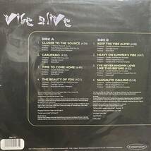 【激レア】Camelle Hinds / Vibe Alive LP Expansion_画像2
