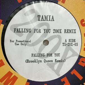 【この盤オンリーRemix】Tamia / Falling For You 200X REMIX Brooklyn Queen Remix Best Of My Love ネタ