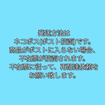 9本　ひとくち栗ようかん　桜井甘精堂　栗羊羹　栗ようかん　くりようかん　ようかん　羊羹_画像4